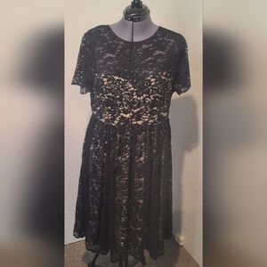 Torrid Lace Illusion Skater Dress Black and Cream plus size 1